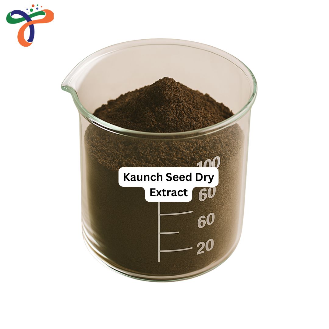 Kaunch Seed Dry Extract